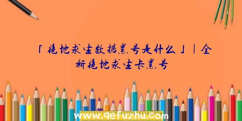 「绝地求生数据黑号是什么」|全新绝地求生卡黑号